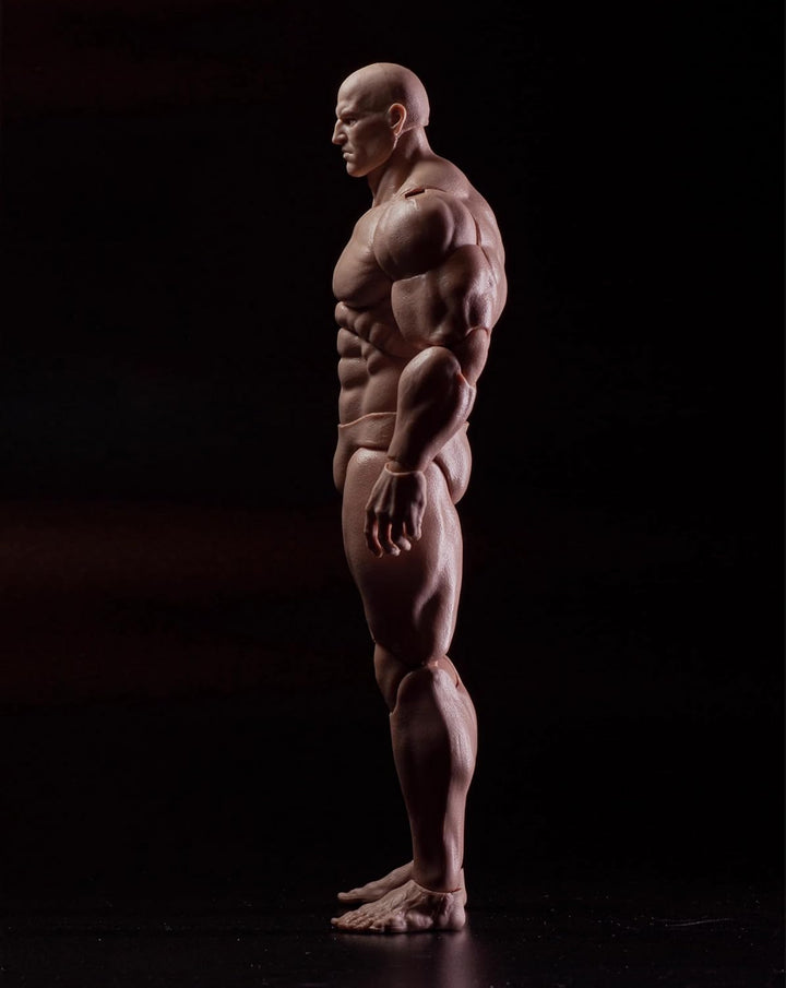 Fremego Figura de acción masculina a escala 1\/12, 6 pulgadas, súpe...
