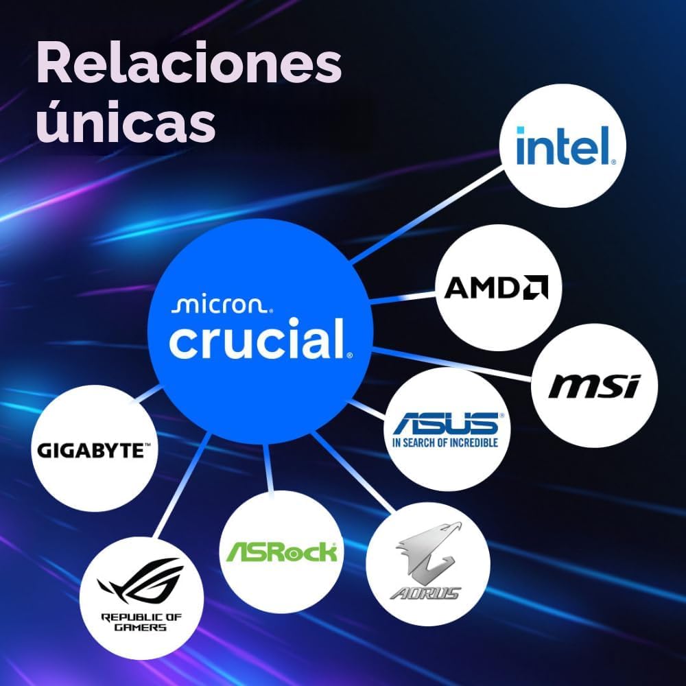 Crucial Pro CP2K32G56C46U5 - Kit de Memoria para computador de escr...