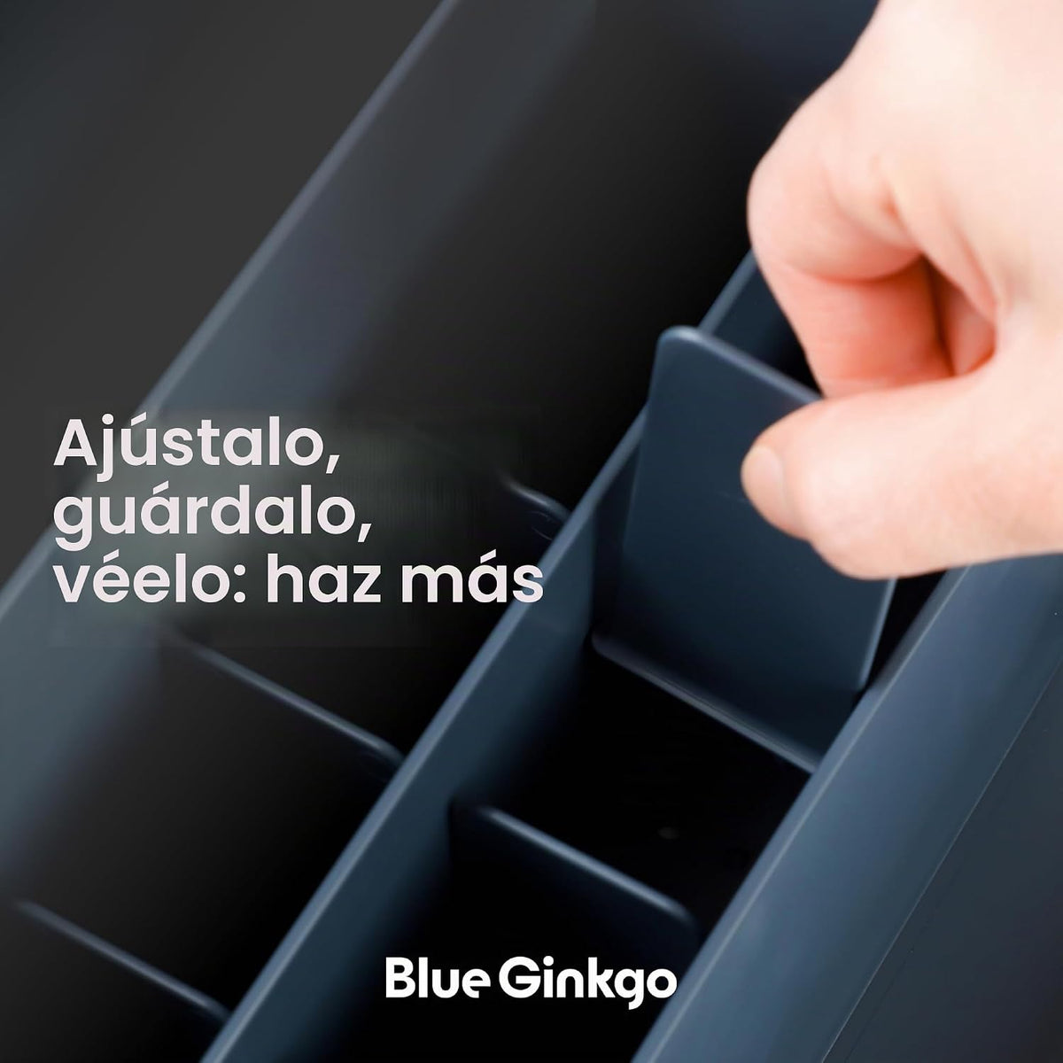 Organizador de Escritorio BLUE GINKGO, Suministros de Oficina, Azul, Hecho en Corea
