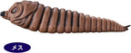 Bandai Película Monster Series Mothra Larva Twin Set