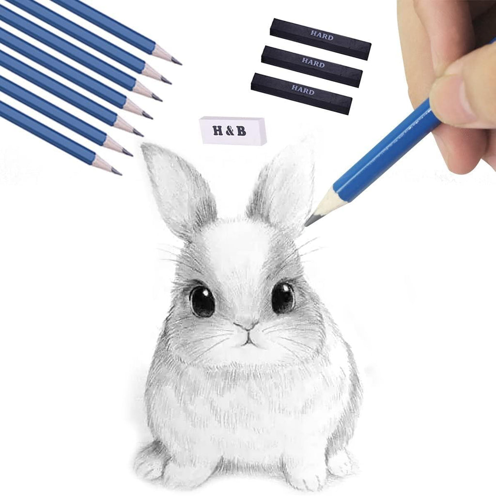 H & B Kit de dibujo profesional de 40 piezas, kit completo de artista, incluye lápices de grafito, pasteles, sacapuntas y borrador