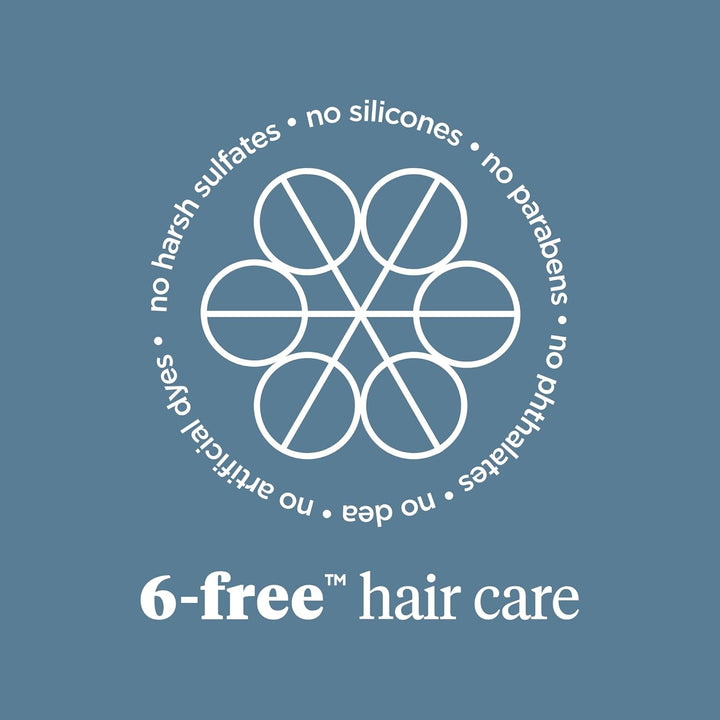 Briogeo Scalp Revival Charcoal + Tea Tree Buildup Detox Spray | Tra...