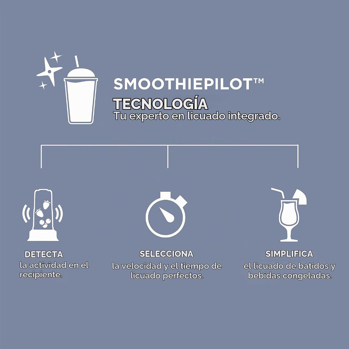 Vitamix Batidora personal Nano con tecnología SmoothiePilot, color negro