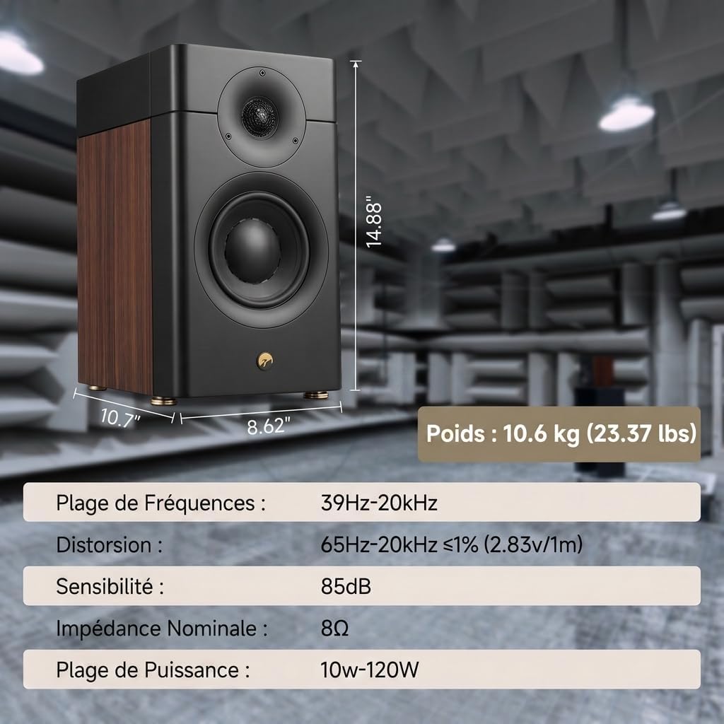 HiVi-Swans Altavoces pasivos para estantería D3.1 MKII, par de altavoces domésticos de 2 vías de 6.5 pulgadas, necesita amplificador o receptor para funcionar