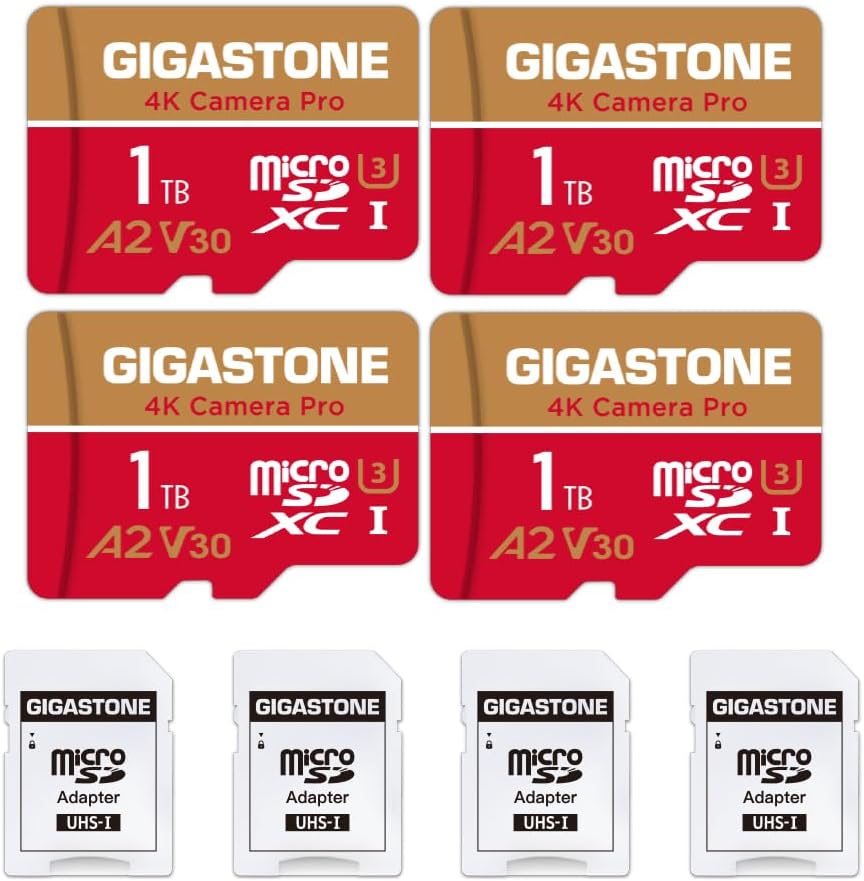 Recuperación de datos de 5 años: tarjeta micro SD de 1 TB GIGASTONE...