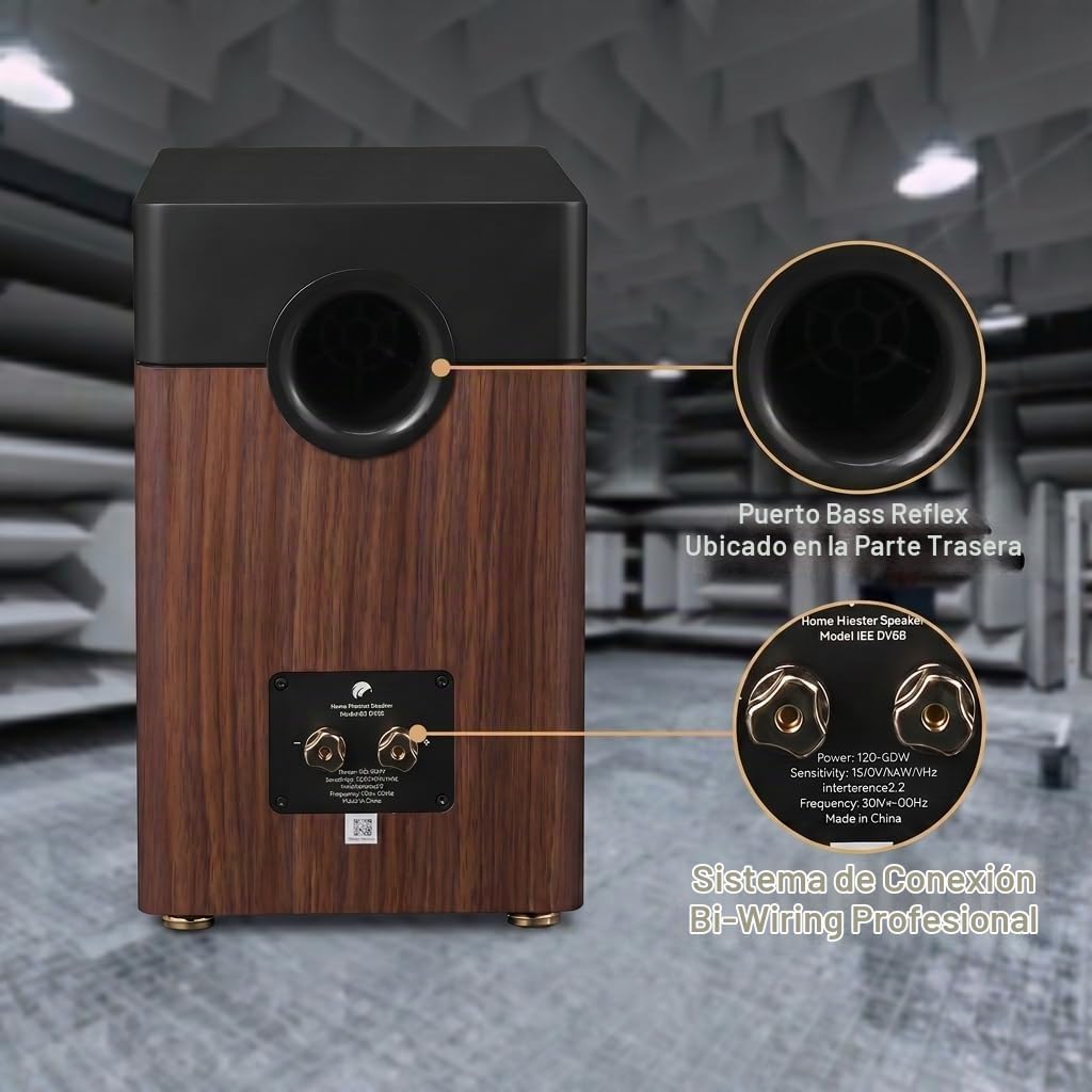 HiVi-Swans Altavoces pasivos para estantería D3.1 MKII, par de altavoces domésticos de 2 vías de 6.5 pulgadas, necesita amplificador o receptor para funcionar