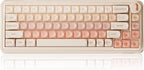 DAREU Teclado mecánico inalámbrico 65% de 68 teclas, teclas Jelly,...