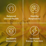 Nature's Sunshine VS-C Suplemento dietético concentrado TCM \u2...