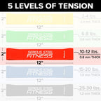 Mini bandas de resistencia | Bandas elásticas de rehabilitación y prehab | Bandas de entrenamiento de ejercicio de 12 pulgadas (paquetes de 5 paquetes y juegos de 10 opciones de