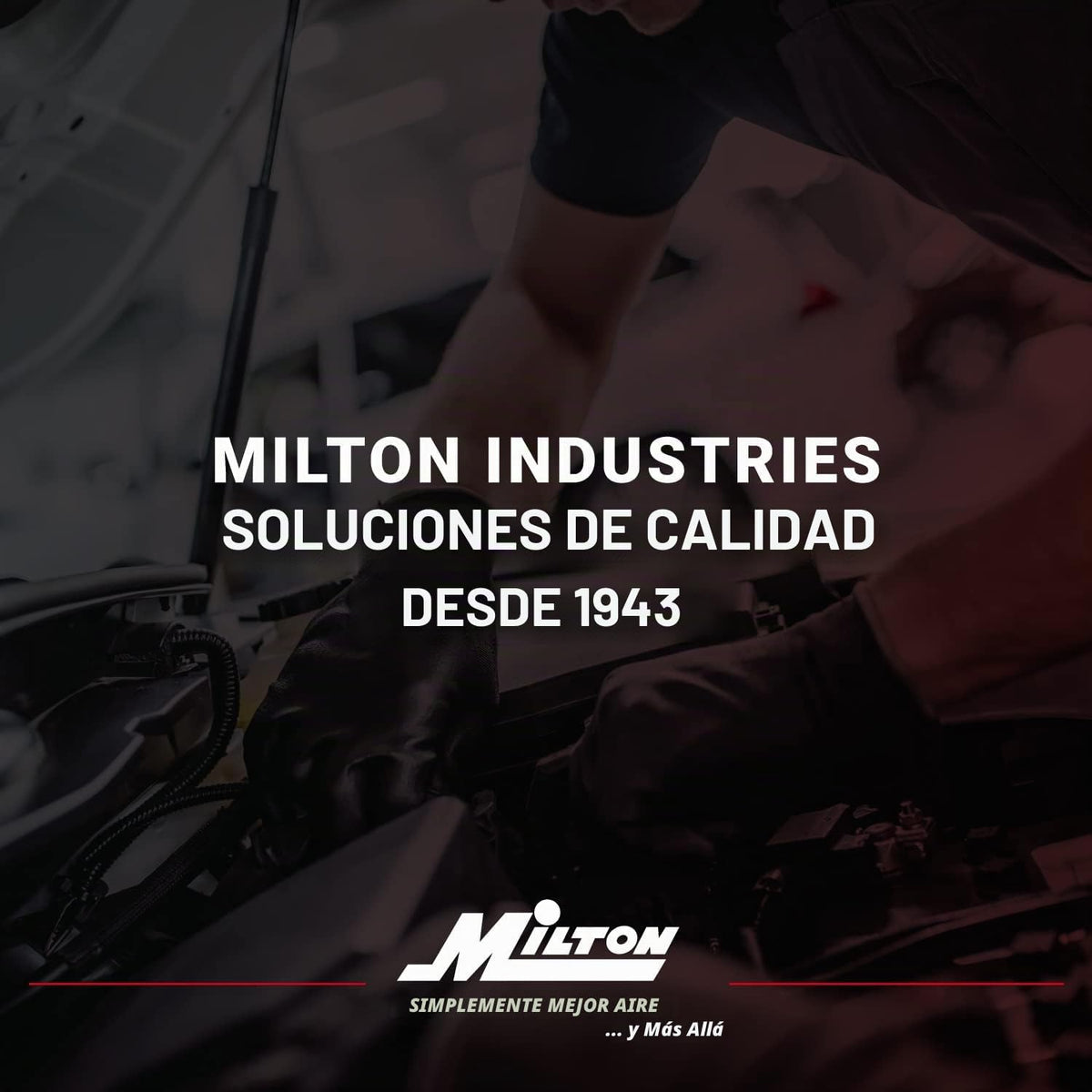 Milton (S-506) ORIGINAL DUAL CABEZ CHUCH CUADRO DE CUADRO CAUGO DE INFLADOR - MANGUERA DE 15 "