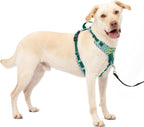 PetSafe Easy Walk Comfort - Arnés para perro sin tirones, color verde