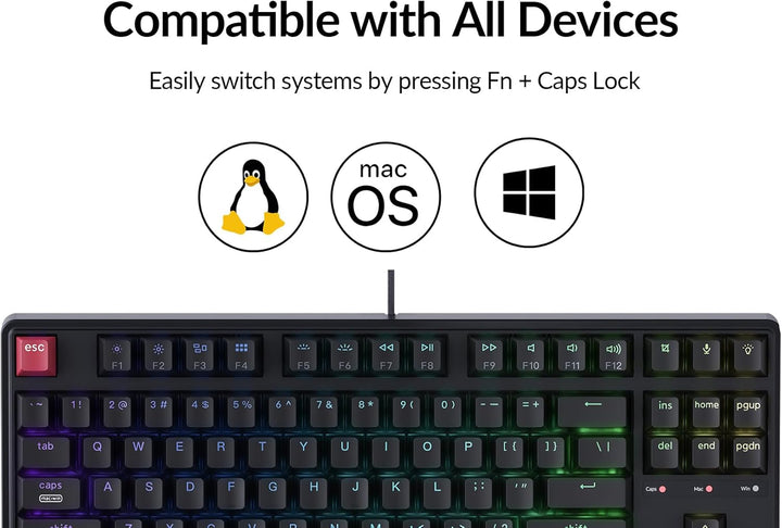 Keychron C3 Pro TKL 80% Teclado mecánico con cable, tasa de sondeo...