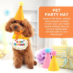 12 mini sombreros de fiesta para animales de peluche