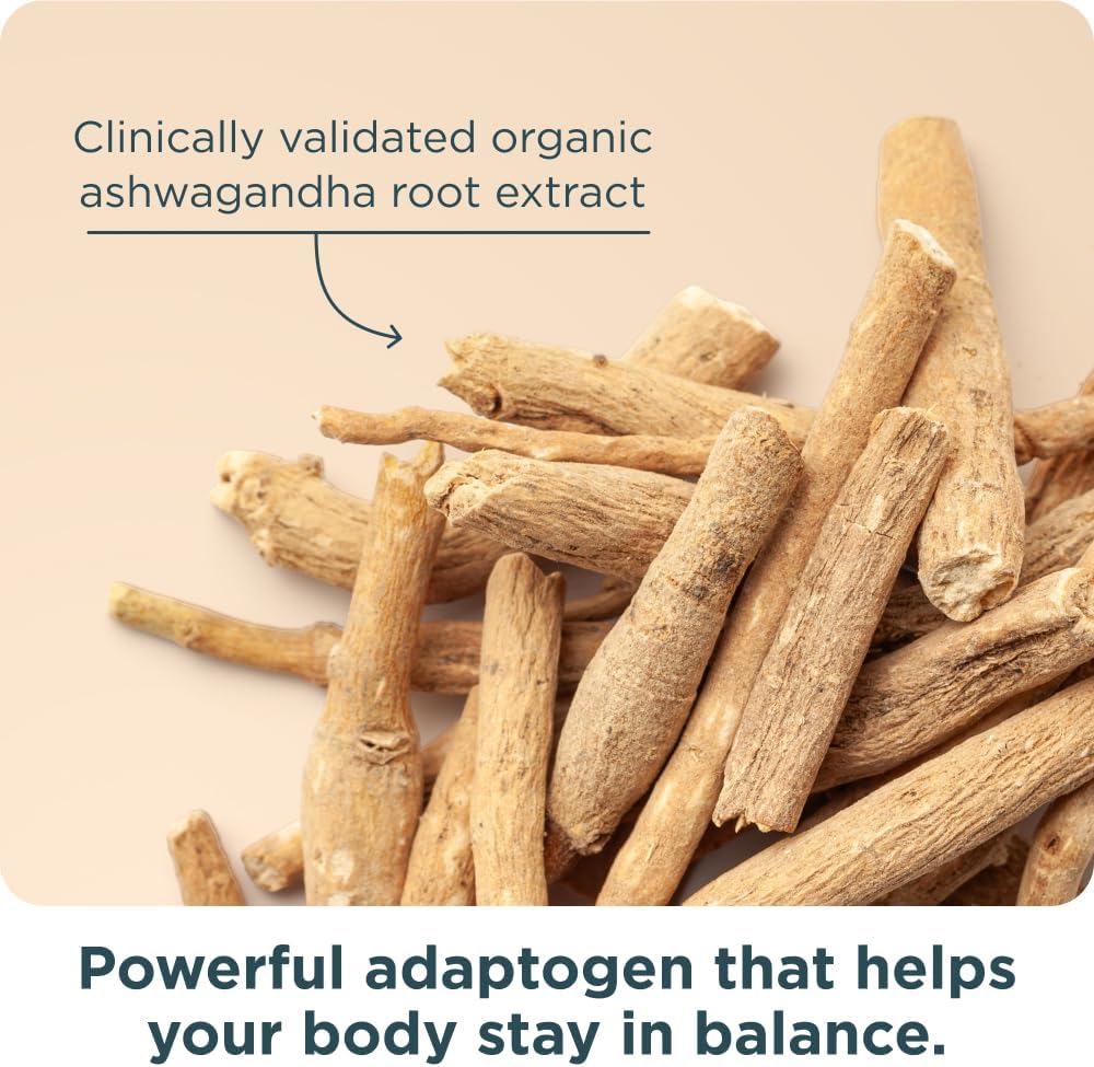Ancient Nutrition Multivitamínico para mujeres 50+ con Ashwagandha...