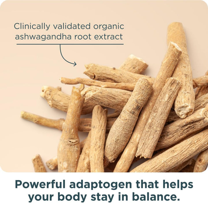 Ancient Nutrition Multivitamínico para mujeres 50+ con Ashwagandha...