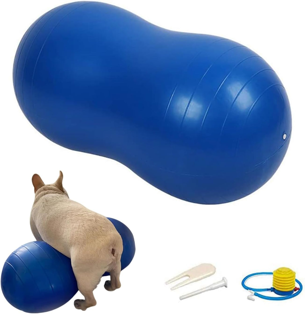 Pelota de cacahuete para perros para fitness y rehabilitación canina para razas pequeñas, medianas y grandes, equipo de ejercicio antiestallido para fortalecer el núcleo, entrenamiento de equilibrio, estabilidad de las piernas traseras (pequeño, para pier
