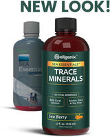 Wellgenix Sea Essentials Vital Nutrients - Multivtamina líquida de...