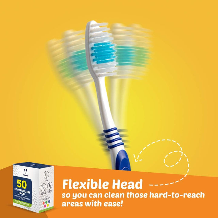 EcoFox Cepillos de dientes a granel 50 unidades | Juego de cepillos...