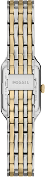 Fossil Raquel - Reloj de cuarzo y acero inoxidable para mujer, con tres manecillas