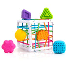 Fat Brain Toys InnyBin Juguetes de aprendizaje de forma, juguetes sensoriales para bebés y niños pequeños, juguetes para bebés a partir de 10 meses+