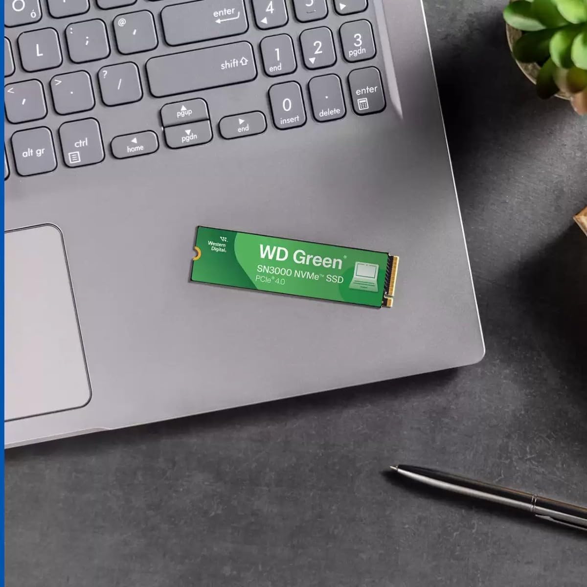 Western Digital SSD interno NVMe WD Green SN3000 de 1TB - Unidad de...
