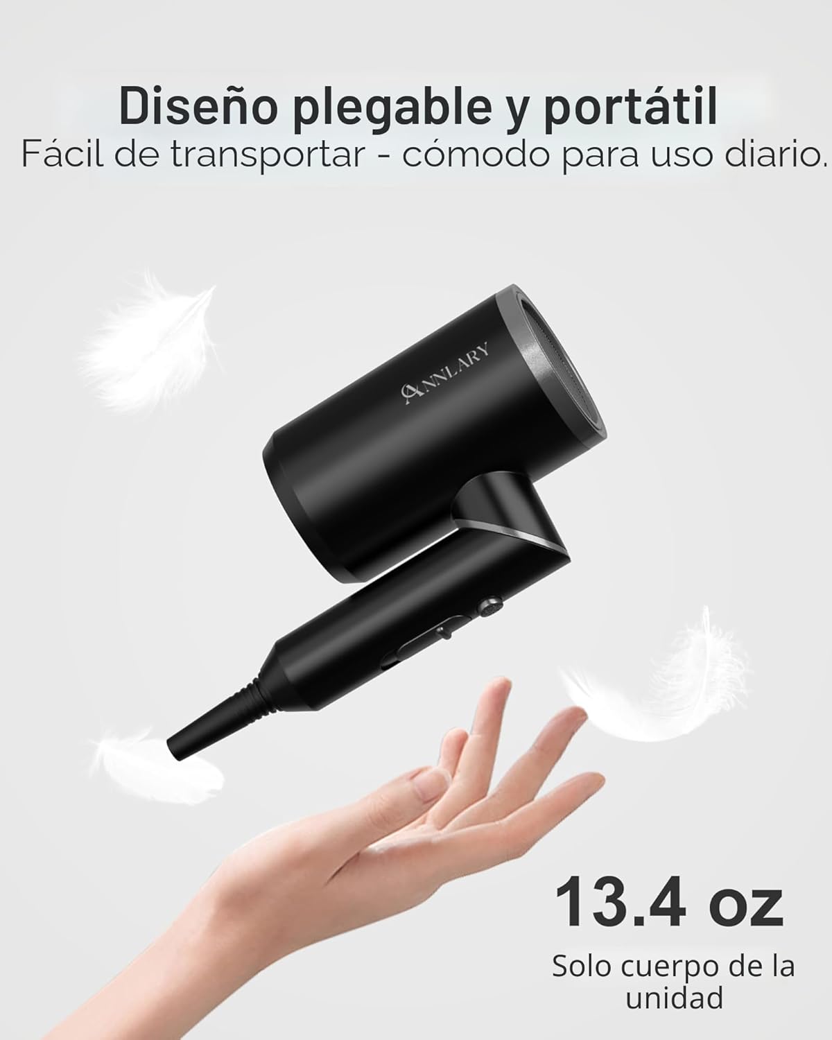 ANNLARY Secador de pelo con peine | Secador de pelo de 1800 W con d...