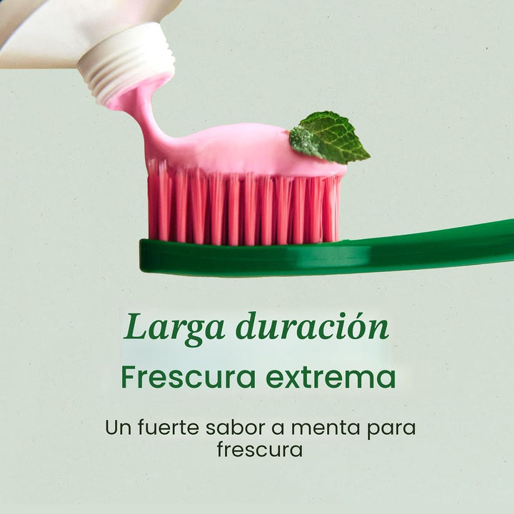 EUTHYMOL Pasta de dientes rosa original, sin flúor, 3.7 fl oz*5 (pa...