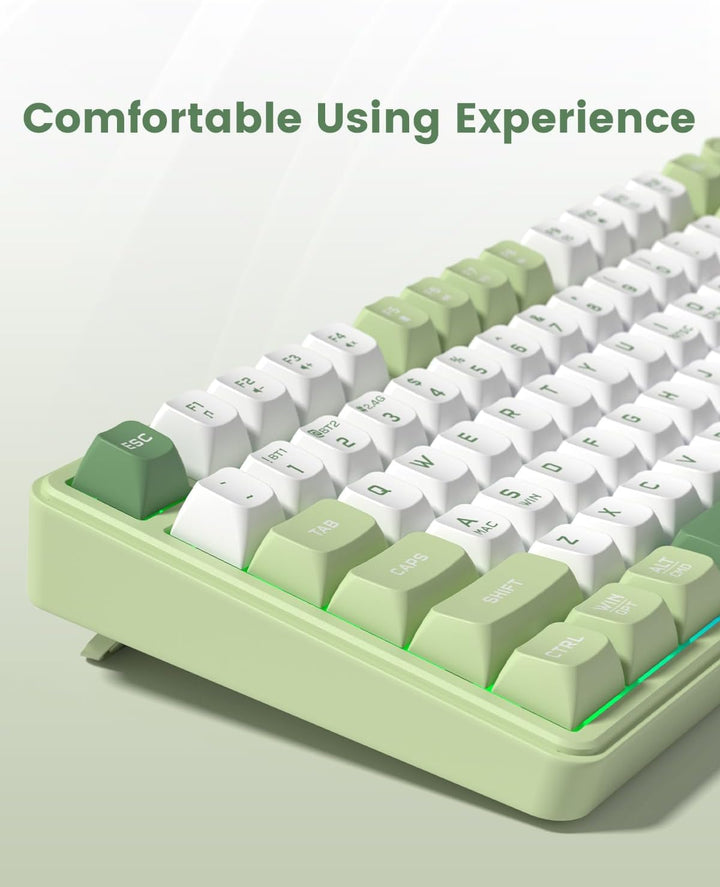 Womier DK75 75% Wireless Gaming Keyboard, RGB Backlit Creamy Keyboa...