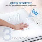 DolceLuna Juego de 2 almohadas tamaño King, almohada de cama de lujo para