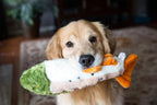 Fluff & Tuff Ruby Rainbow Trout Plush Dog Toy - 14"