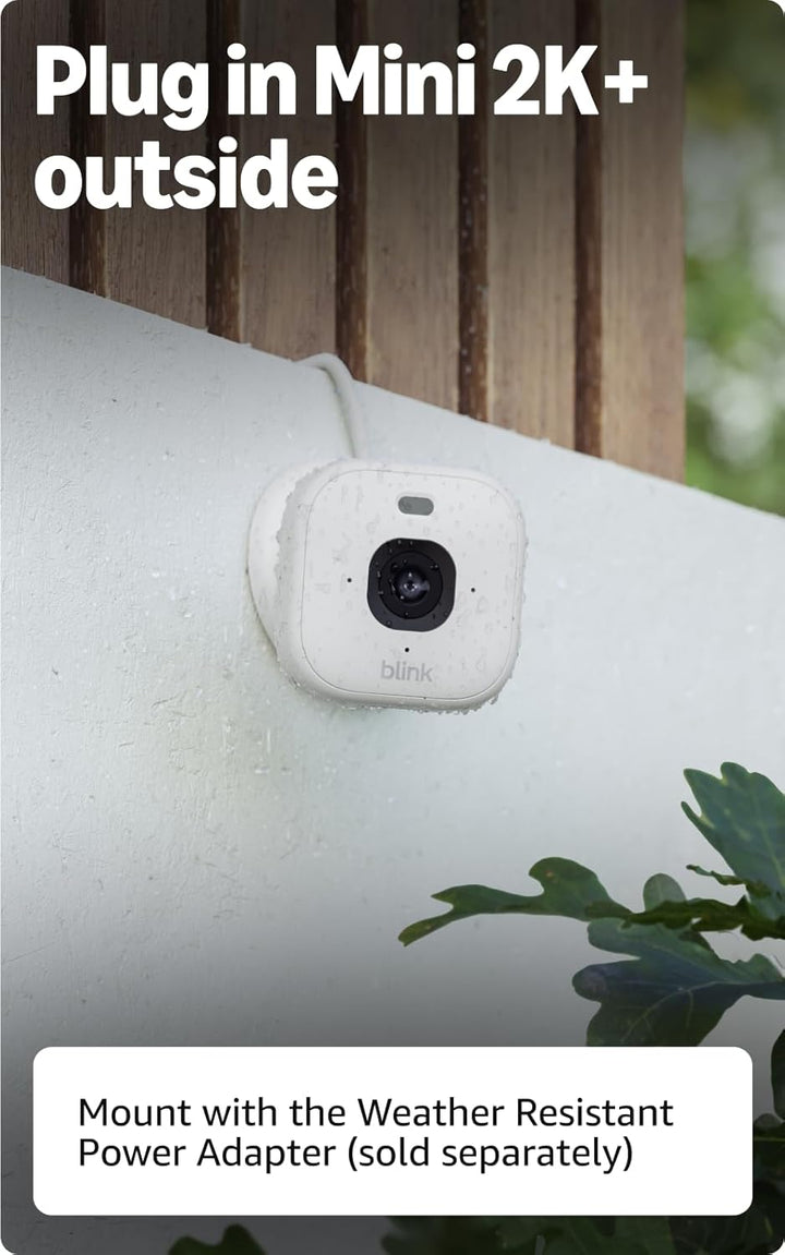 Blink Mini 2K+ (último modelo) con suscripción Plus por un año. Cám...