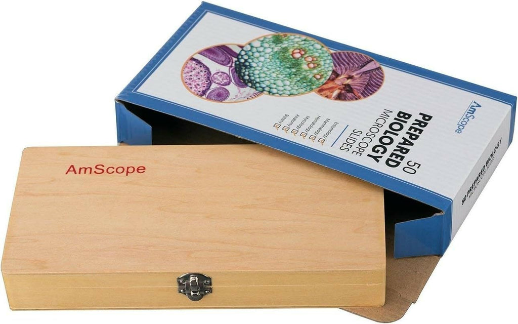 Microscopio AmScope PS50 preparado portaobjetos de set para Biológica Básica Ciencia Educación, 50 Diapositivas, incluye carcasa ajustable de madera