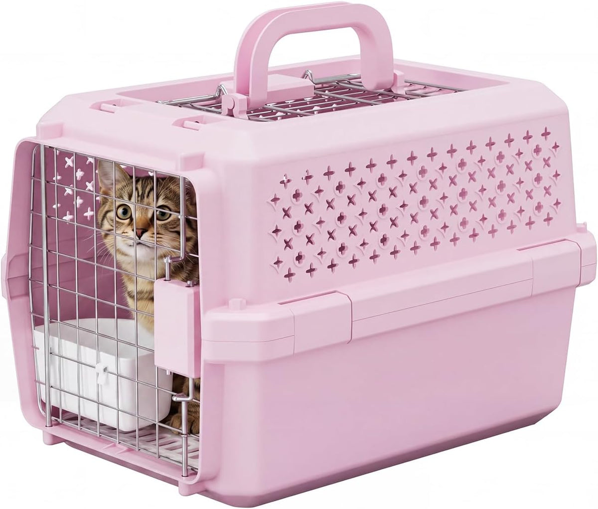 Transportador de mascotas de aerolínea: caja pequeña para gatos y