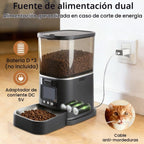 Alimentador automático para gatos con cámara de video bidireccional