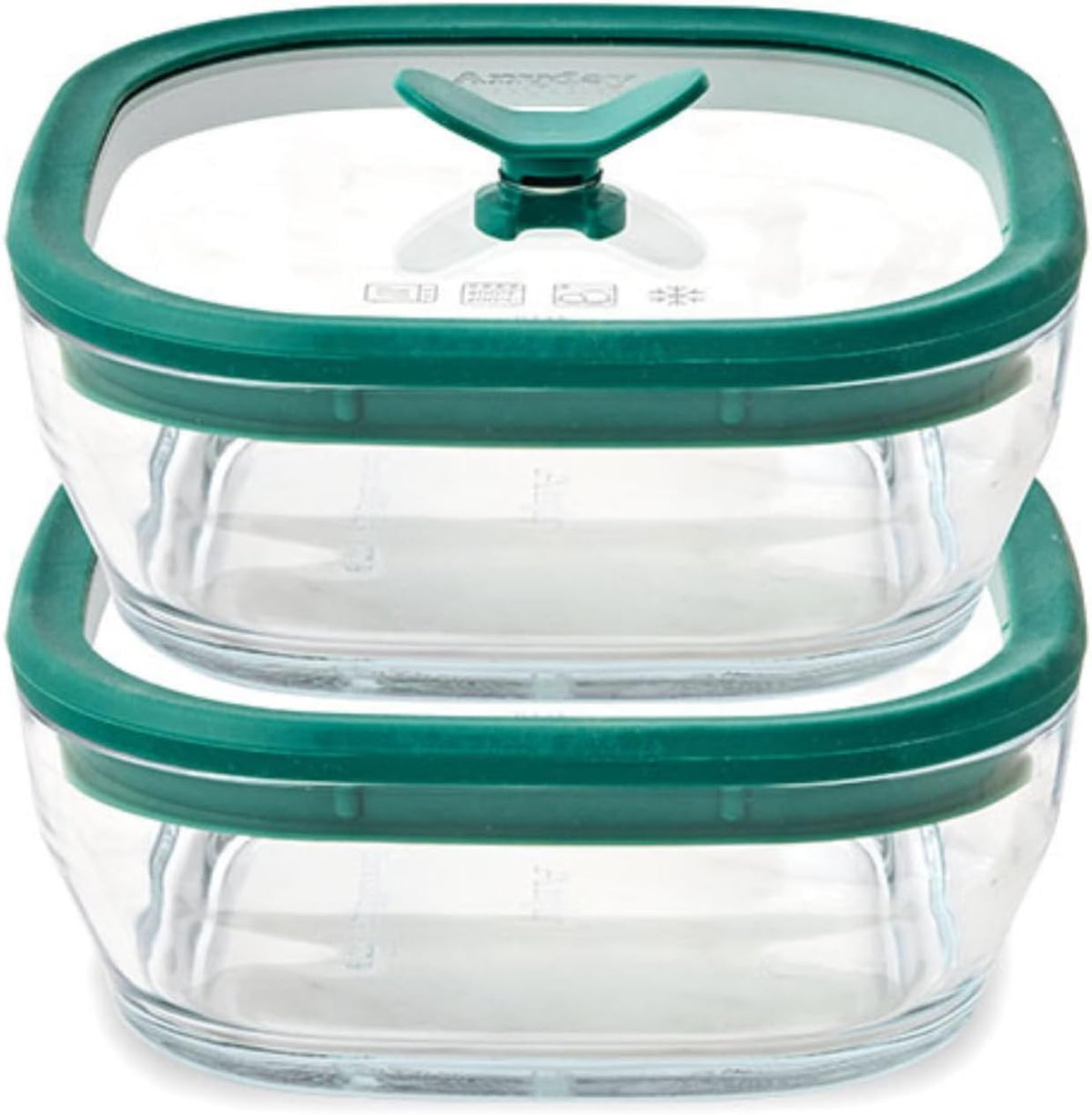 Anyday Paquete de 2 recipientes de vidrio para almuerzo de 2.5 tazas (kale)