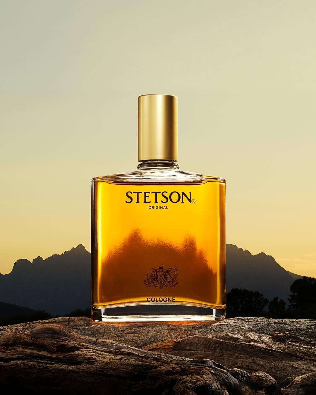 Stetson Original by Scent Beauty - Colonia para hombres - Aroma clá...