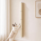 Rascador de pared para gatos de 60 pulgadas de alto