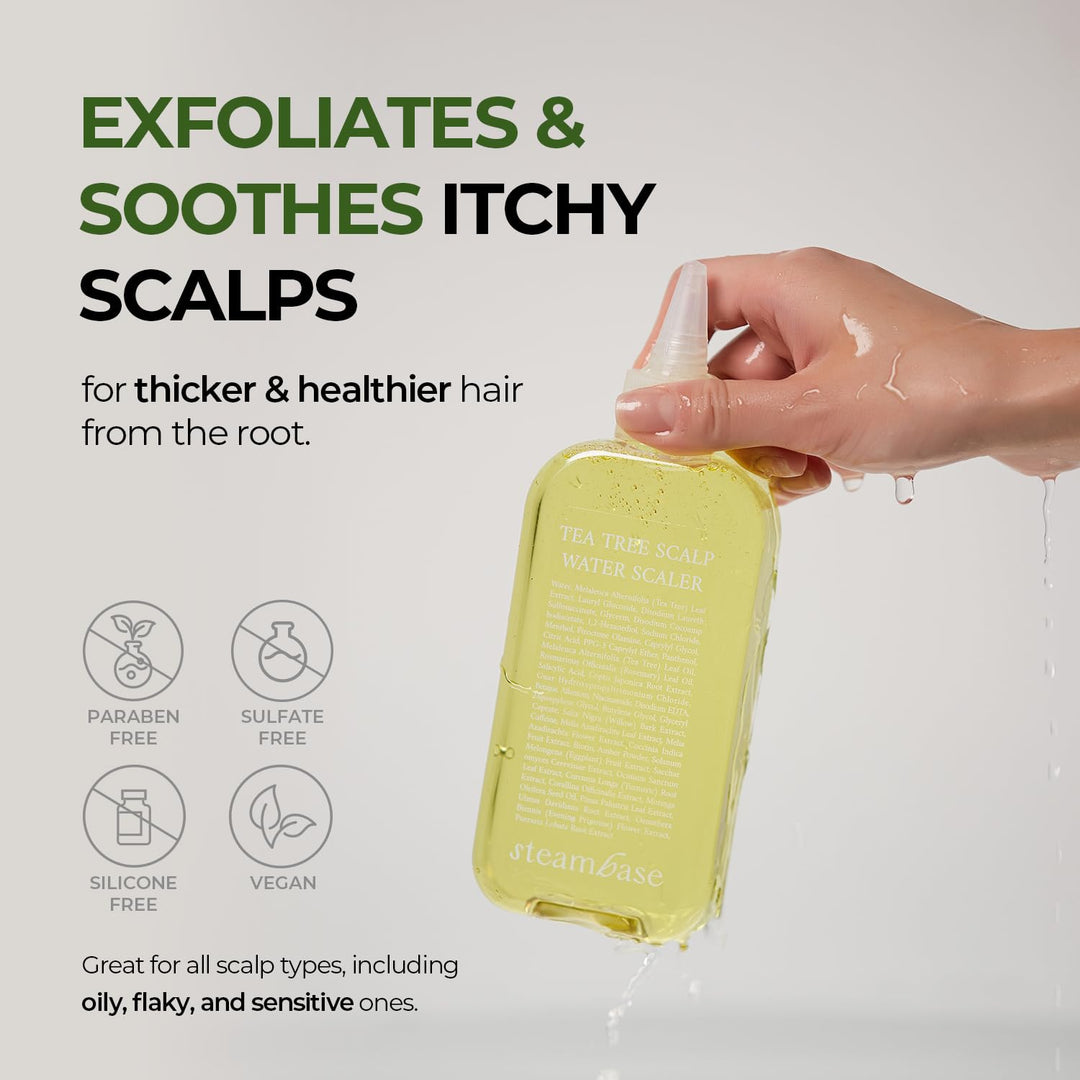 STEAMBASE Agua de Árbol de Té para el Cuero Cabelludo | Exfoliante...