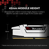 G.SKILL RipjawsV Series DDR4 RAM (XMP) 32 GB (2 x 16 GB) 3600 MT\/s...