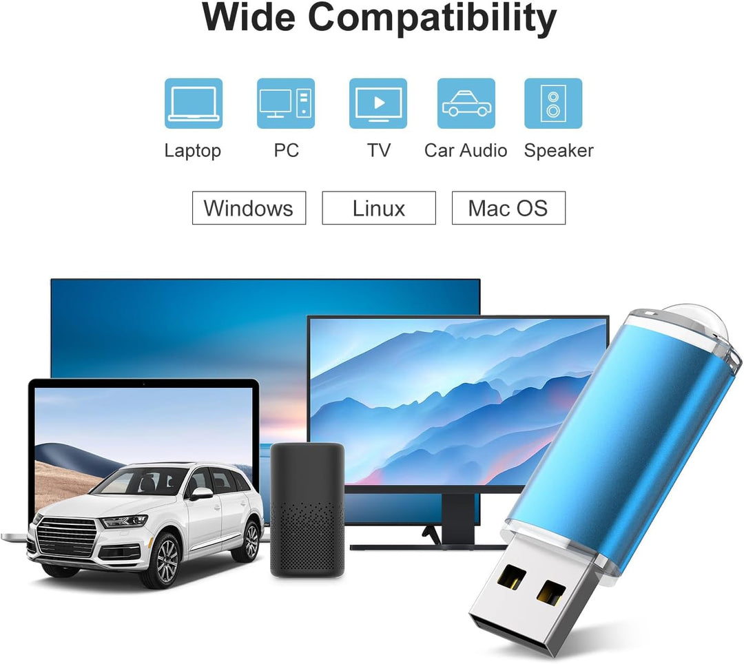 RAOYI Paquete de 10 unidades 1 GB 1G USB Flash Drive USB 2.0 Memory...