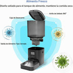 Comedero automático para gatos, dispensador de alimentos