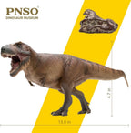 Serie de Museos de Dinosaurios PNSO: Cameron el Tiranosaurio Rex