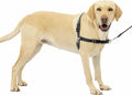 PetSafe Easy Walk - Arnés para perro, sin tirones, gris carbón, grande