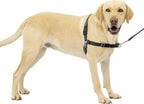 PetSafe Easy Walk - Arnés para perro, sin tirones, gris carbón, grande