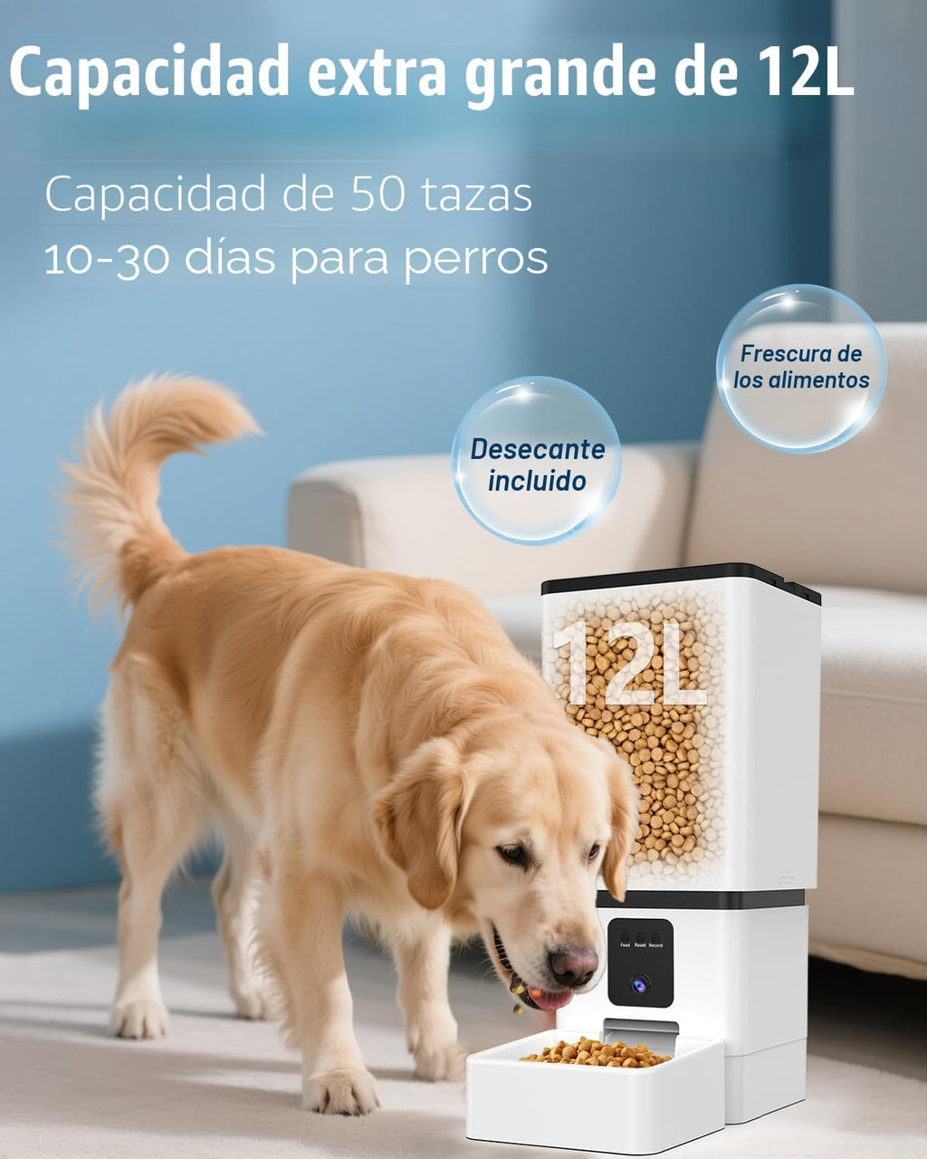 Dispensador Automático de Alimento para Perros de Raza Grande: Capacidad 12L/50 Tazas para Kibble de hasta 20mm