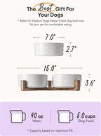 LE TAUCI Cuencos de cerámica para perros con soporte de madera de acacia, juego de alimentos y agua de 7 pulgadas para perros medianos, cuencos con peso para mascotas