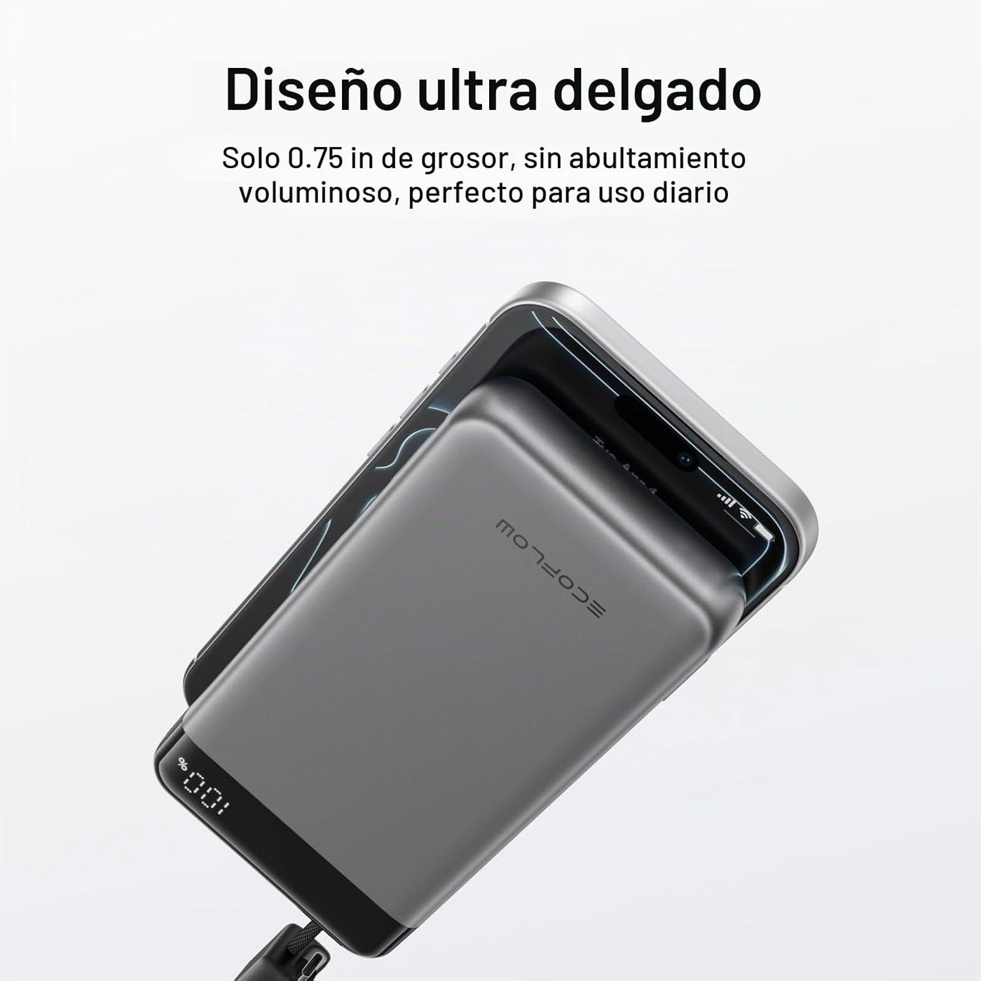 EF ECOFLOW Banco de energía rápida de 20000 mAh, carga rápida máxim...