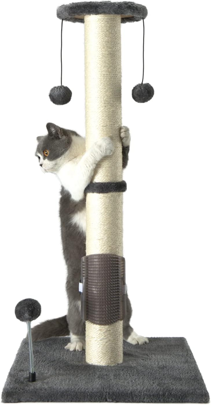 PEEKAB Poste rascador de sisal para gatos de 32 pulgadas de alto, con bola colgante y cepillo de auto-masaje, rascador vertical para gatos y gatitos de interior, color gris, 32 pulgadas