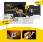 Serie de Museos de Dinosaurios de la PNSO: Aymen el Spinosaurus