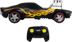Hot Wheels RC 1:16 Rodger Dodger